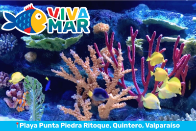 Acuario Viva Mar - Familiares
