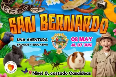 Selvaland, una aventura salvaje y educativa - San Bernardo - Animales