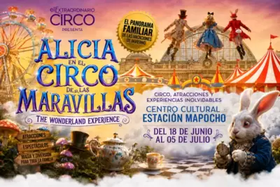 🐰🎩✨ ALICIA WONDERLAND EXPERIENCE ✨🎩🐰 - Circo