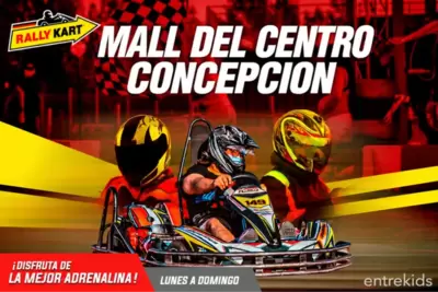 ¡Ven a correr en Rally Kart Mall Trébol Concepción! - Familiares